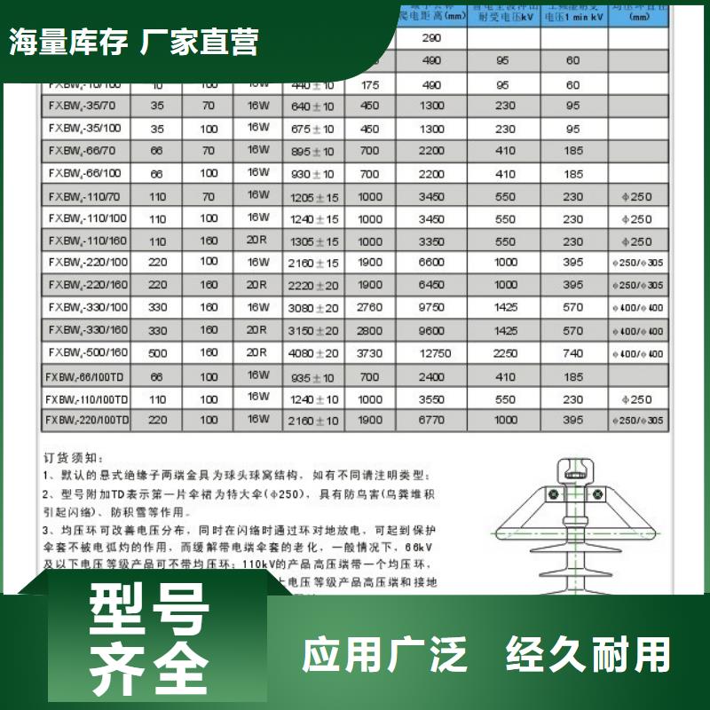 FZS-110/16绝缘子樊高