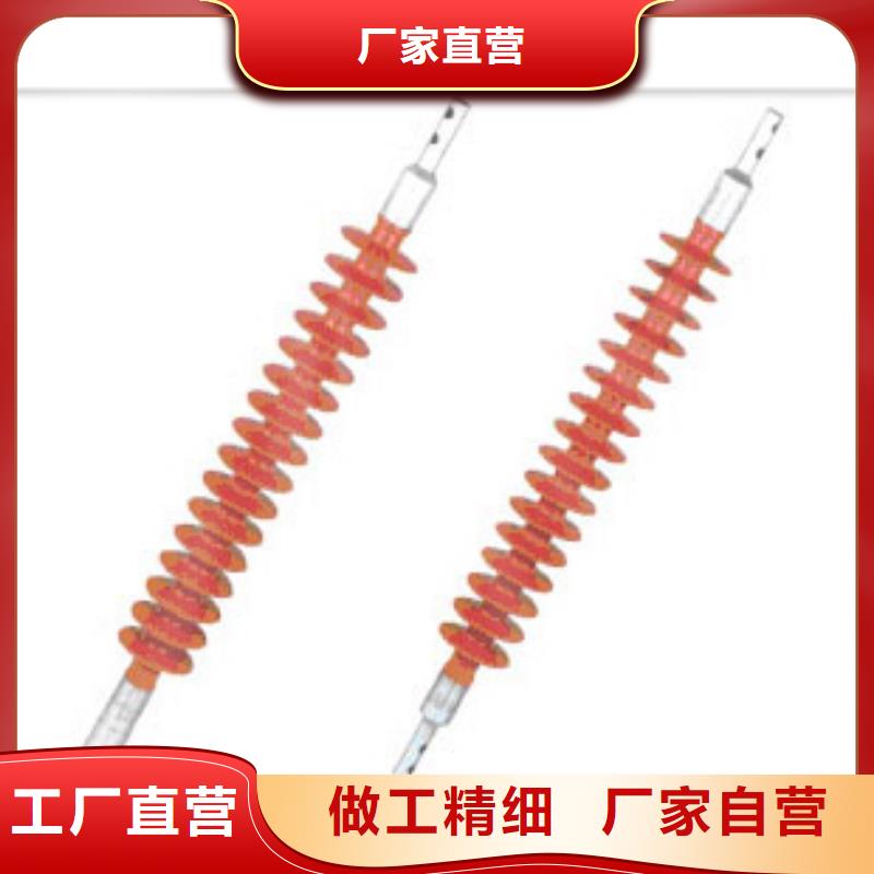 ZJ-10KV/75*130环氧树脂绝缘子