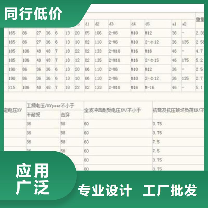 FXBW2-110/100高压棒型绝缘子