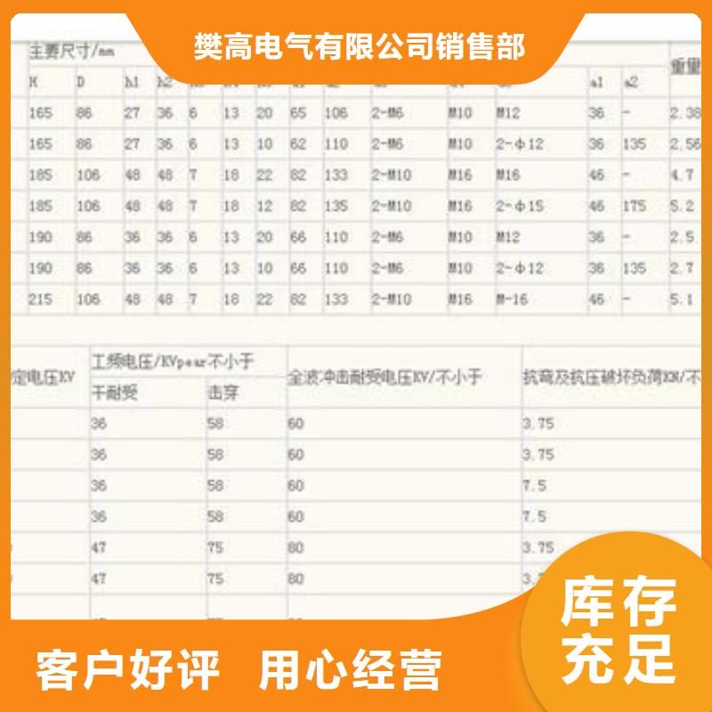 FZSW4-126/8复合绝缘子