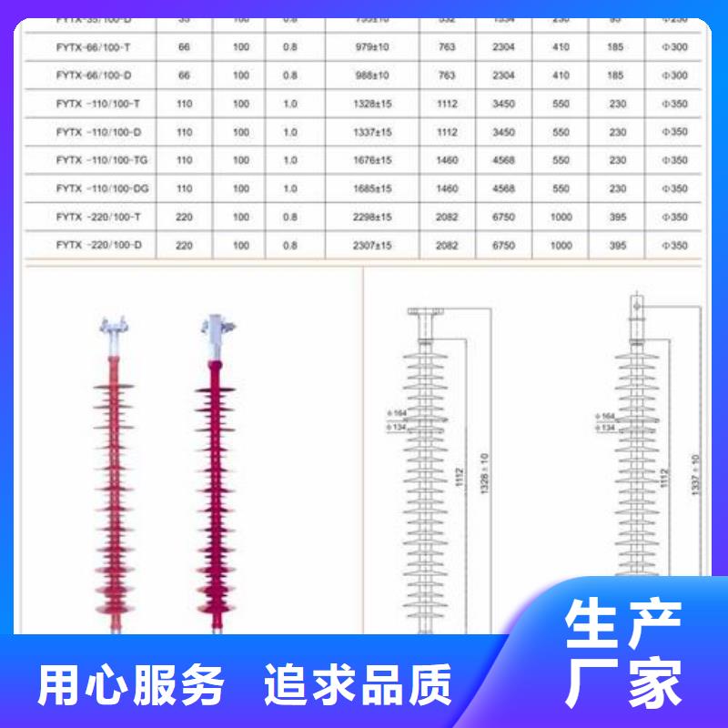 ZS2-10/1000绝缘子樊高电气