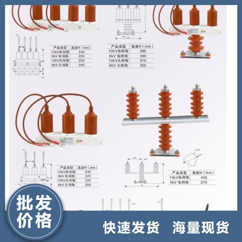 TBP-B-42F/630W2过电压保护器