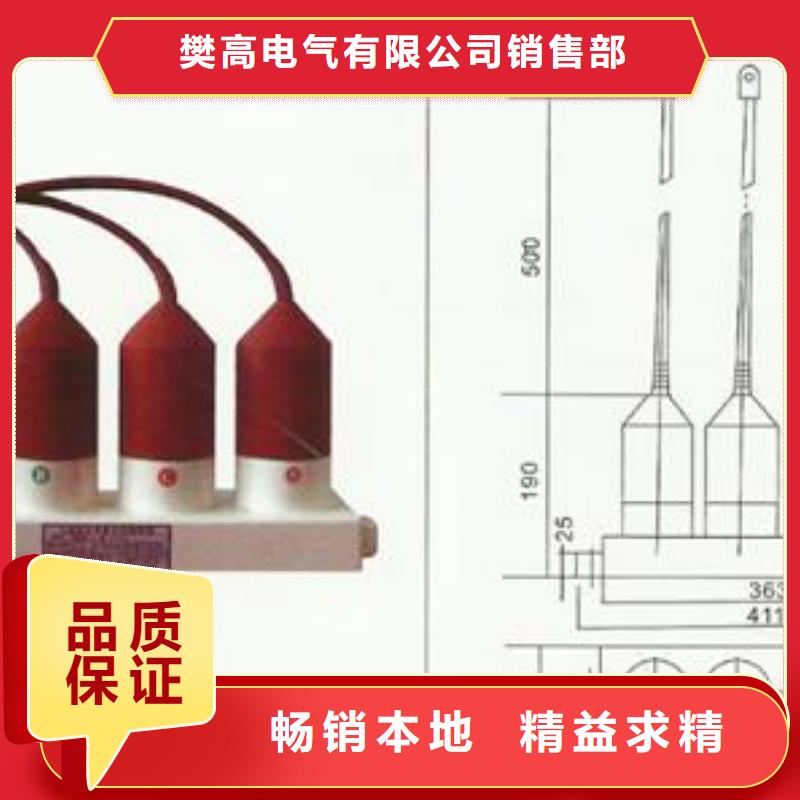 BSTG-B-7.6/600过电压保护器樊高电气