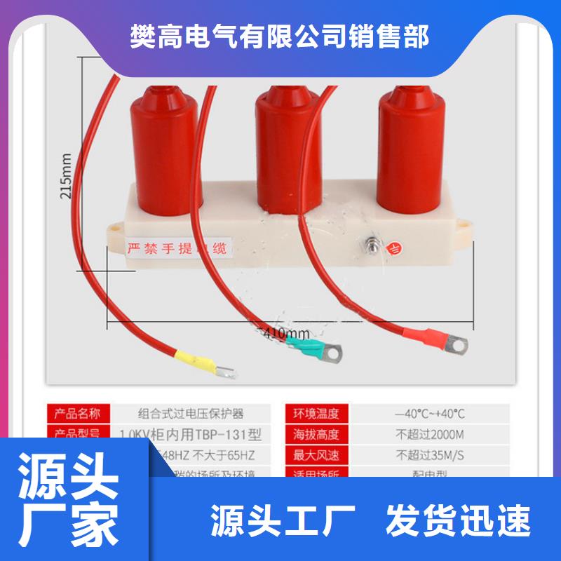 TBP-A-42F/310过电压保护器