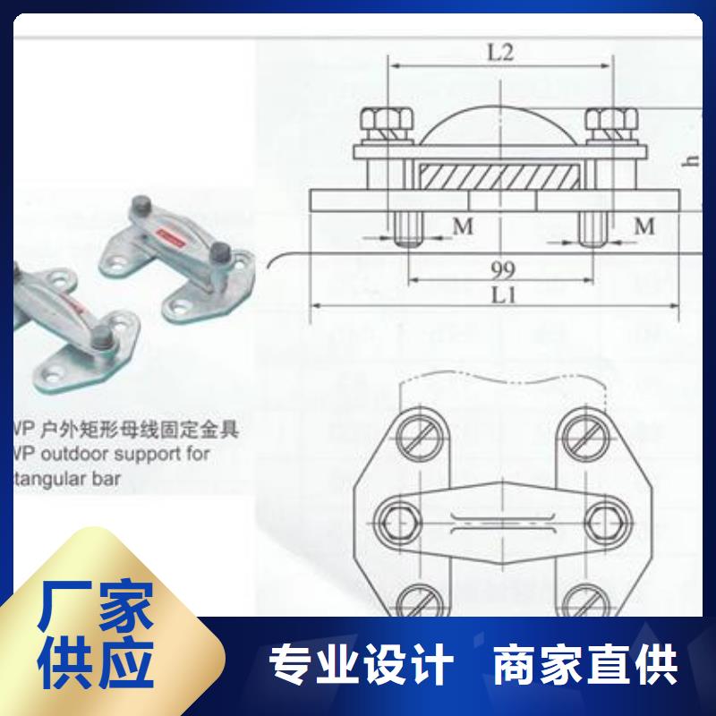 TMY-30*3高压母线樊高