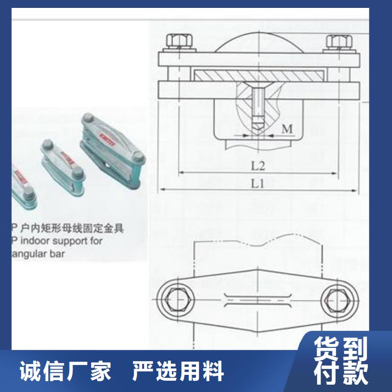 TMY-100*12铜排樊高