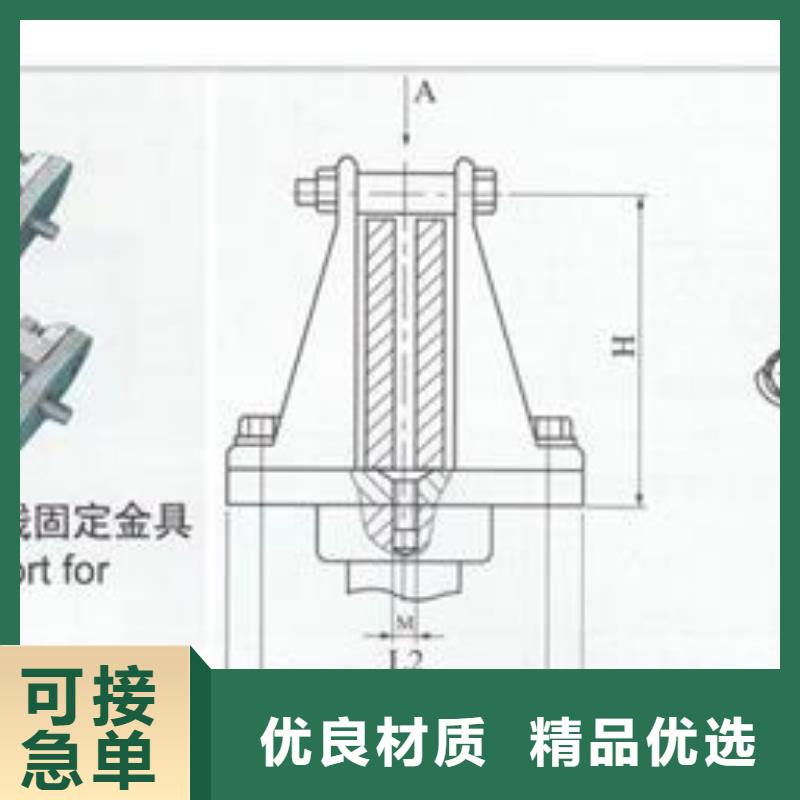 TMY-100*12铜排樊高