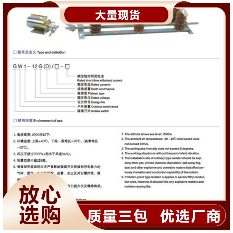 GWR2-0.5/1000低压隔离刀闸