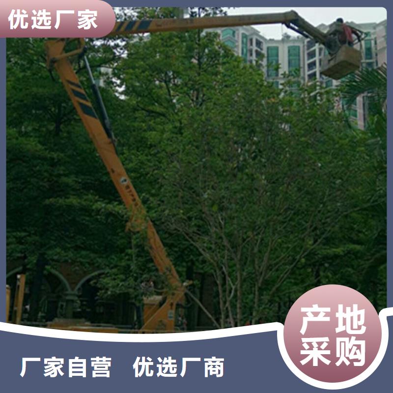 波密|察隅|拉萨|日喀则|昌都|阿里|山南|那曲升降平台租赁现货直供供应商