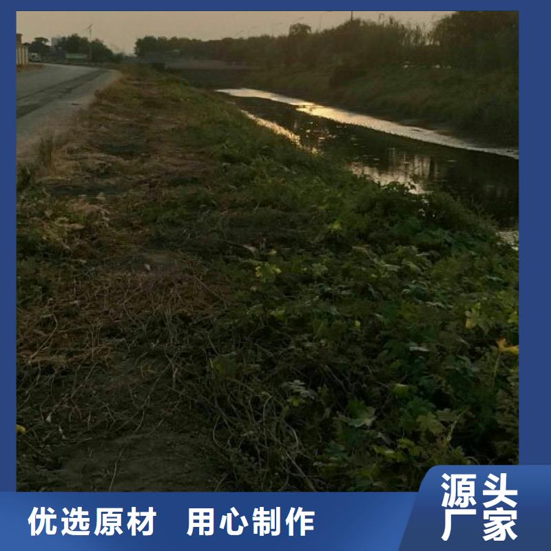 污泥处理粉煤灰固化剂用心做好细节