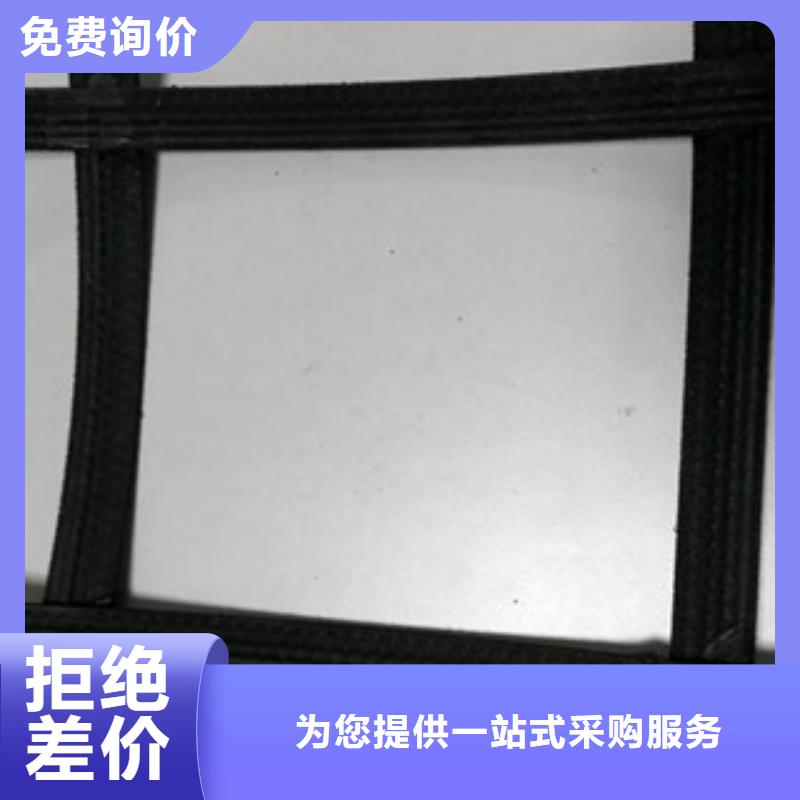 钢塑土工格栅塑料土工格栅工厂自营