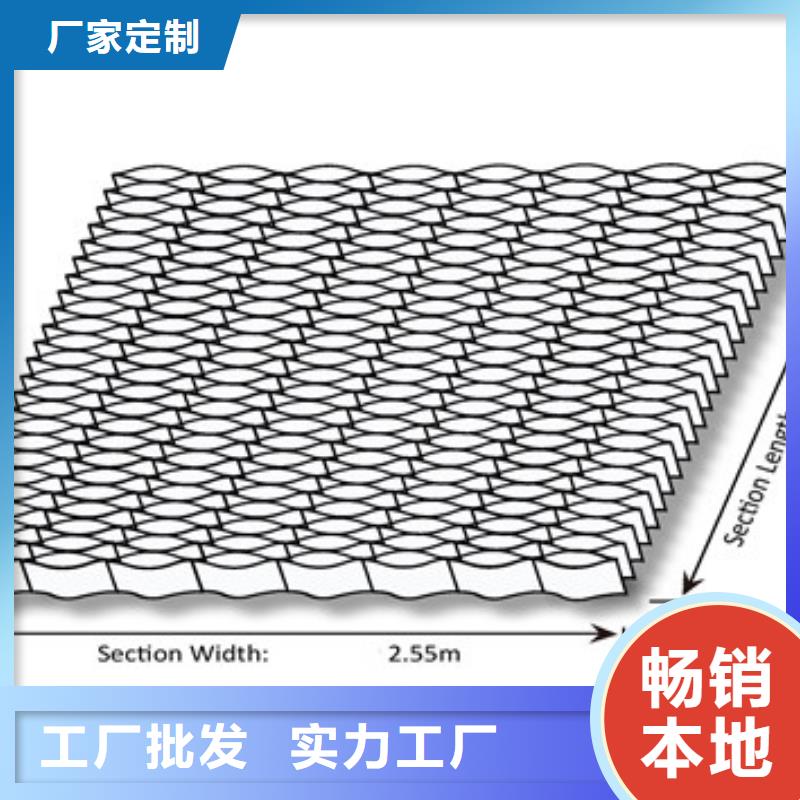 土工格网