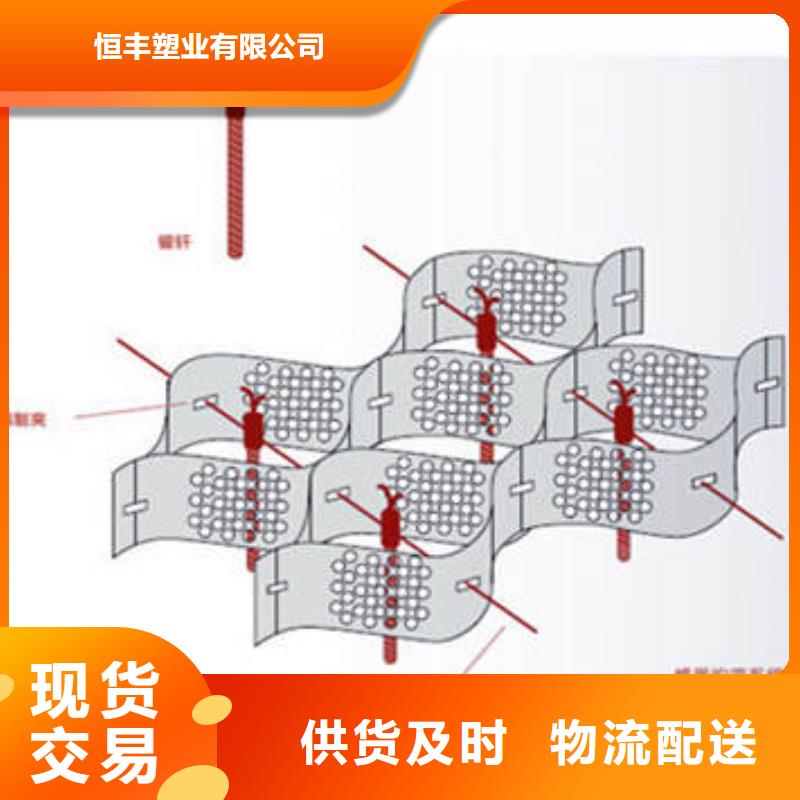 【蜂巢格室双向塑料土工格栅用途广泛】