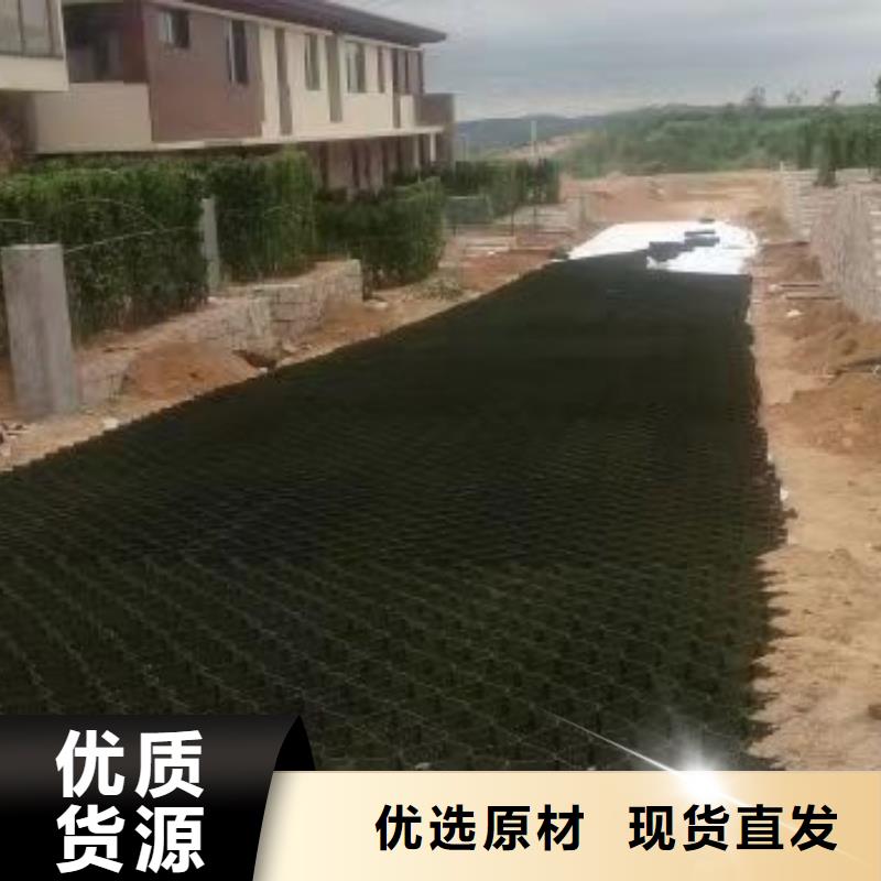 蜂巢格室蜂格网实体厂家大量现货