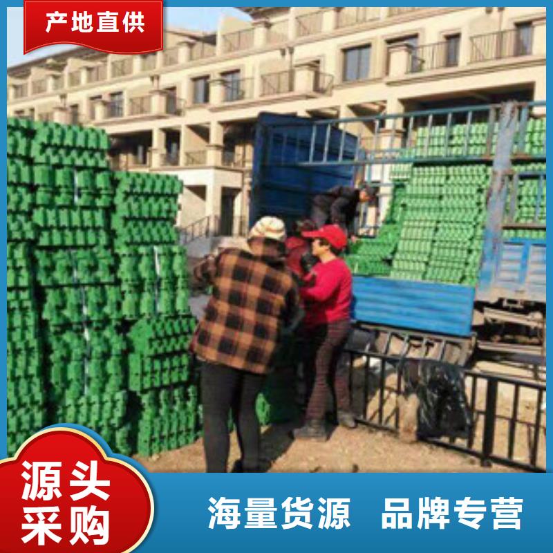 环保植草格排水板厂家不只是质量好