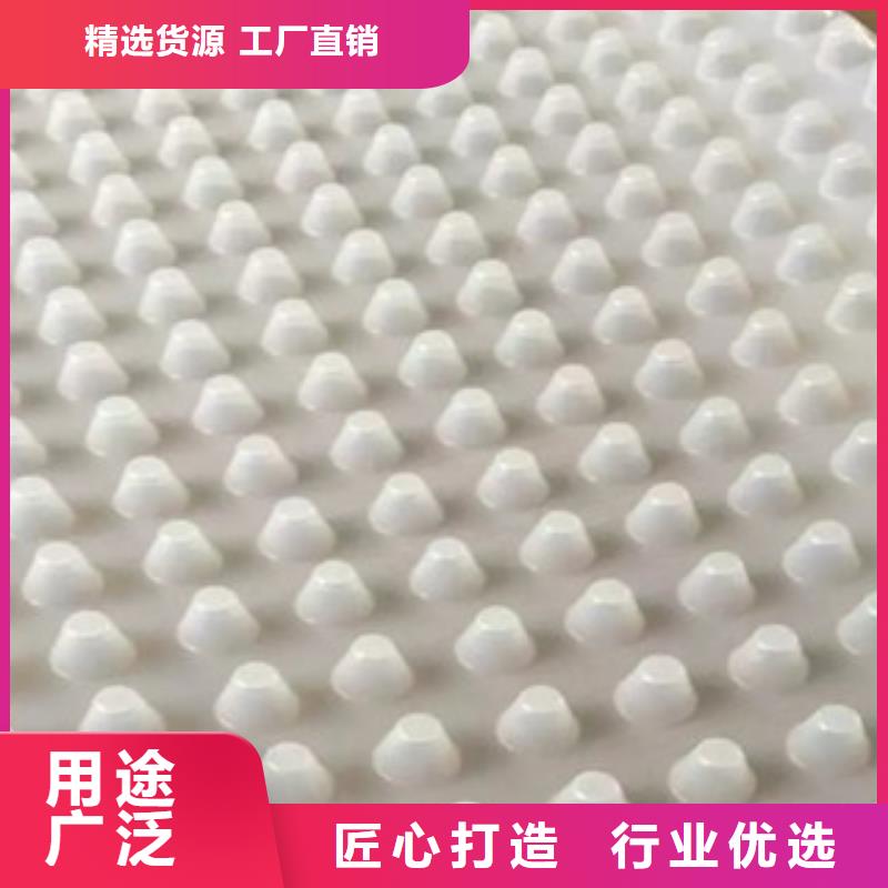 【 排水板-虹吸排水板厂家的图文介绍】本地生产商