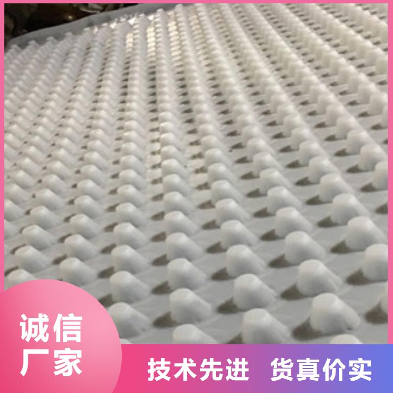 【 排水板-虹吸排水板厂家的图文介绍】本地生产商