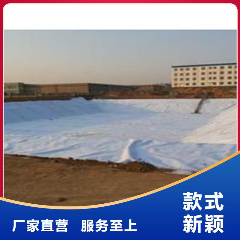 【防水毯】_膨润土防水毯厂家丰富的行业经验一站式采购方便省心