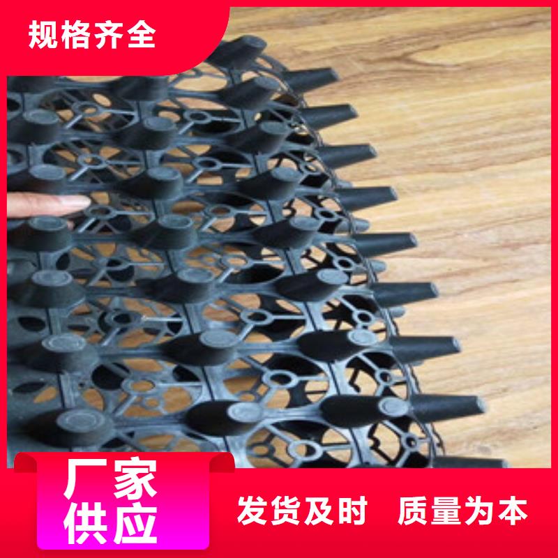 蓄排水板,土工膜厂家工厂认证