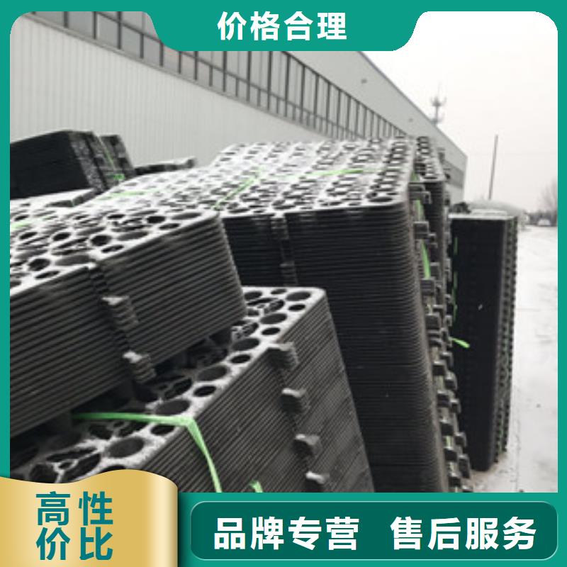 蓄排水板土工膜厂家常年供应