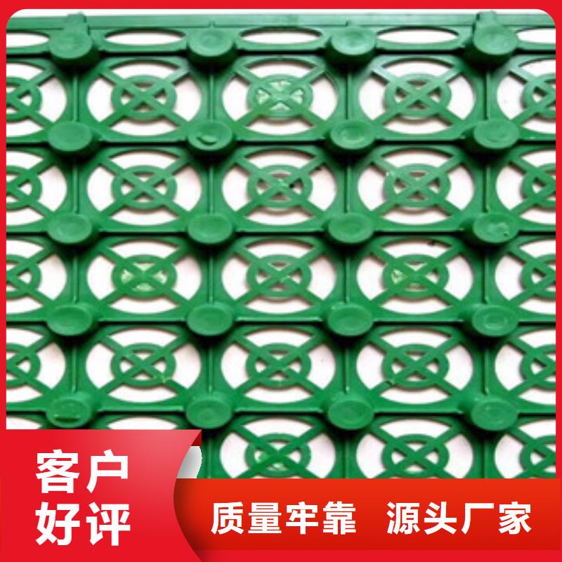 视频:哪里有卖热销产品 蓄排水板,【虹吸排水槽厂家】质保一年-当地厂家_供应案例