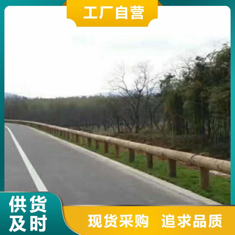 钢背木护栏_道路交通护栏诚信可靠