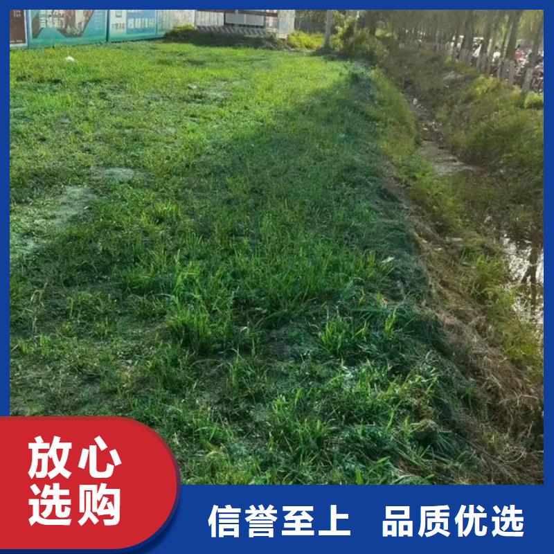 生物酶抑尘剂产地工厂