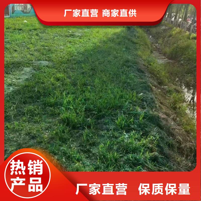 城市道路抑尘剂分类和特点