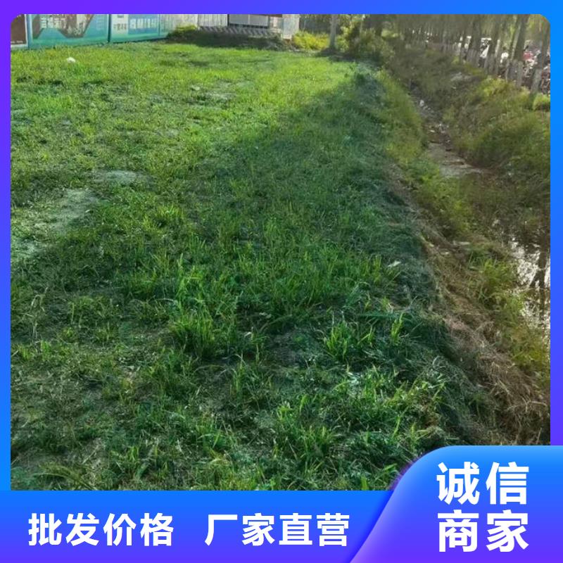 生物酶治理抑尘剂溶液资质认证