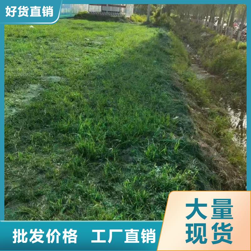 道路保湿抑尘剂送货上门