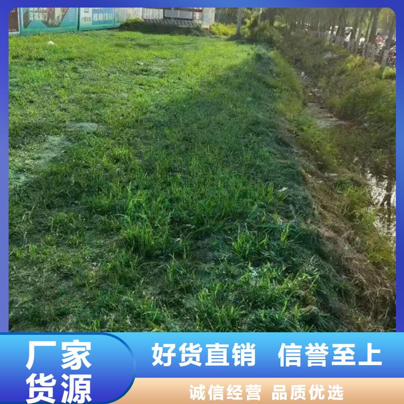 铁路抑尘剂厂家