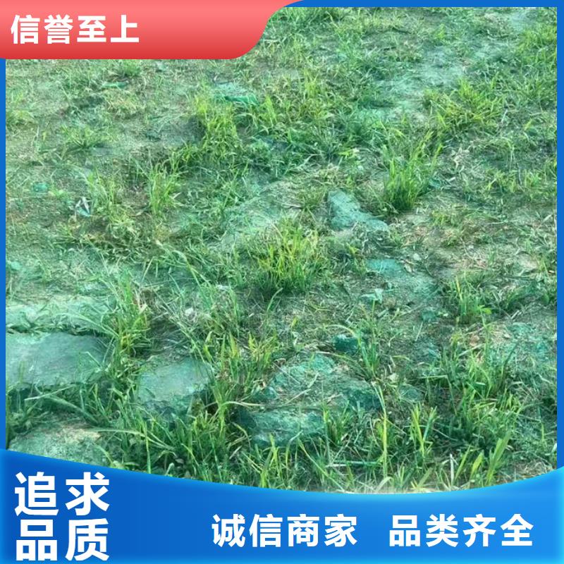 生物酶治理抑尘剂溶液实惠工厂直供