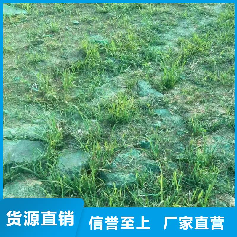 煤炭运输抑尘剂有口皆碑