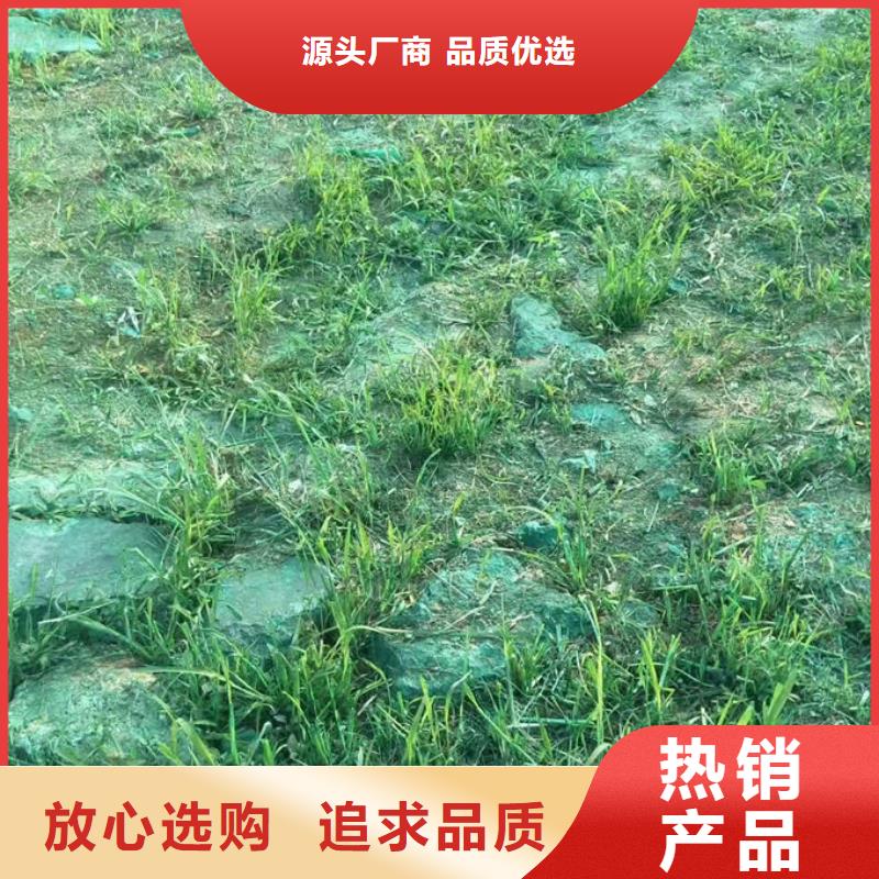 城市道路抑尘剂分类和特点