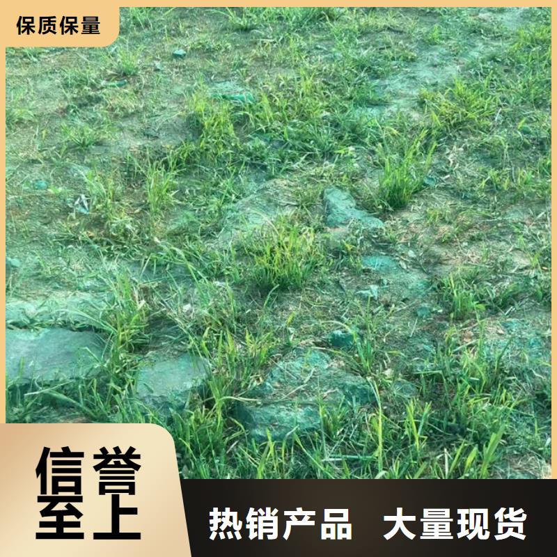 煤炭运输抑尘剂专业生产N年