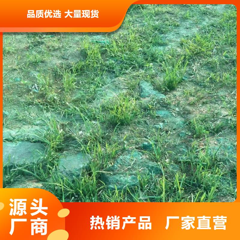 煤炭运输抑尘剂真材实料