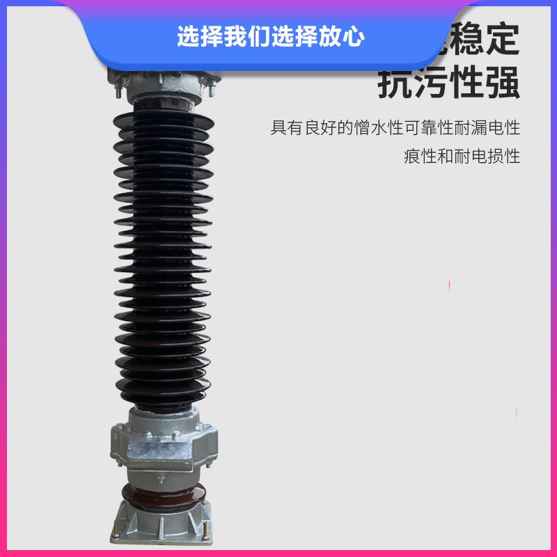 YH10W-6L氧化物避雷器批发