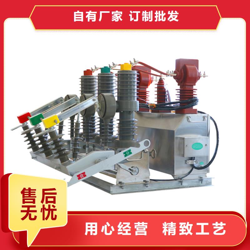 乌鲁木齐ZW8-12G/630-20真空断路器樊高电气