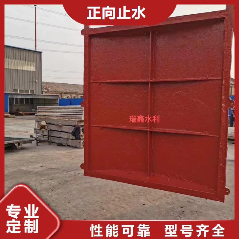 汕头水产养殖镶铜铸铁闸门远销海外