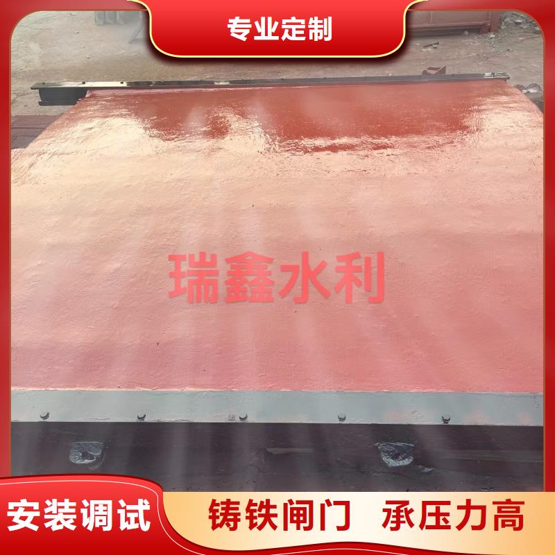 汕头水产养殖镶铜铸铁闸门远销海外