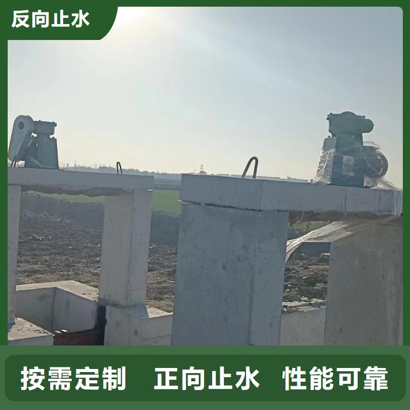 新疆水利水电镶铜铸铁闸门质量上乘