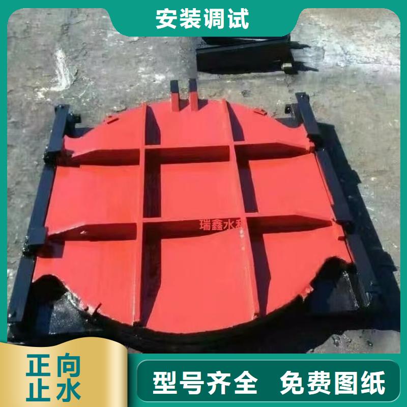 汕头水产养殖镶铜铸铁闸门远销海外
