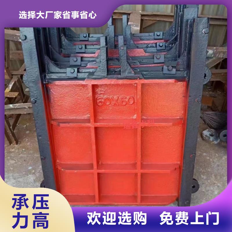 新疆水利水电镶铜铸铁闸门质量上乘