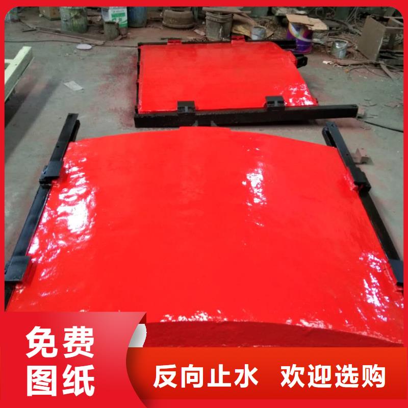汕头水产养殖镶铜铸铁闸门远销海外