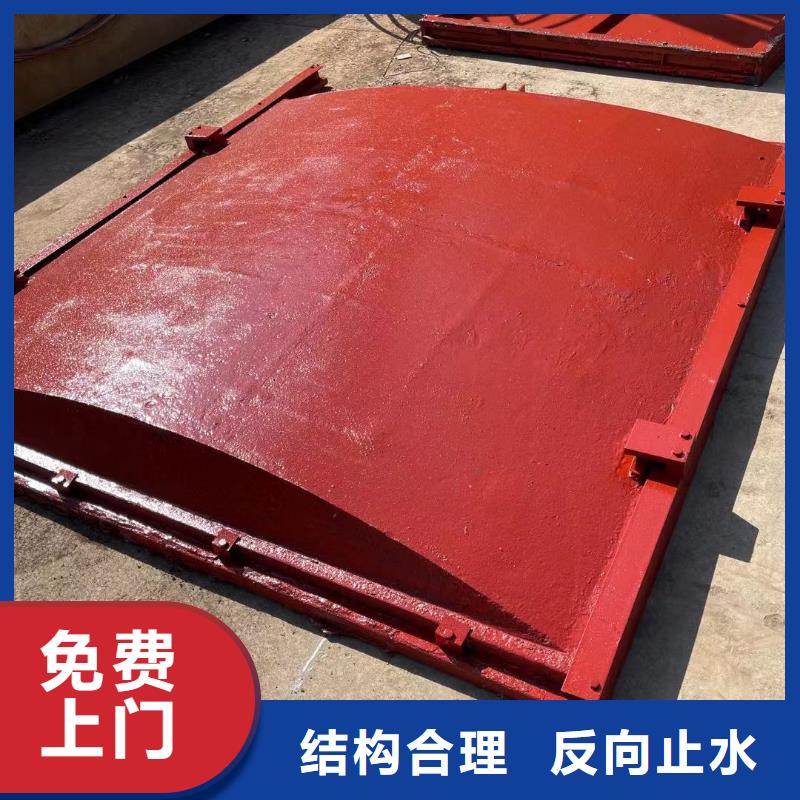 新疆水利水电镶铜铸铁闸门质量上乘