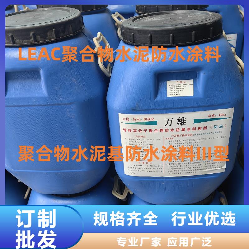 VRA-II型混凝土结构防腐防水涂料精选优质材料免费询价LM复合防水涂料