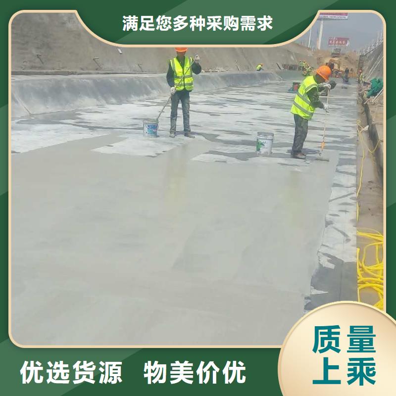 澳阔防腐氰凝防腐涂料支持非标用的放心RJA消防水池专用防腐防水防霉涂料